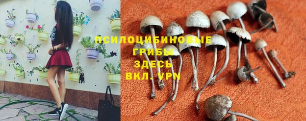 марки nbome Арсеньев
