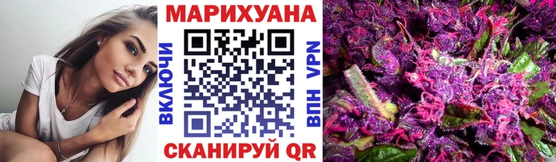 Купить закладки  Северобайкальск  Шишки марихуана планчик 